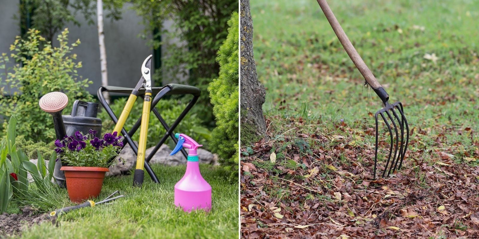 que faire au jardin selon les saisons